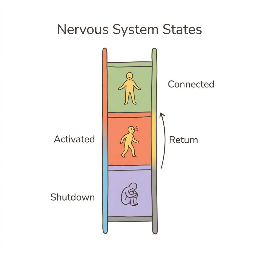 Diagram: Polyvagal States and Earned Security